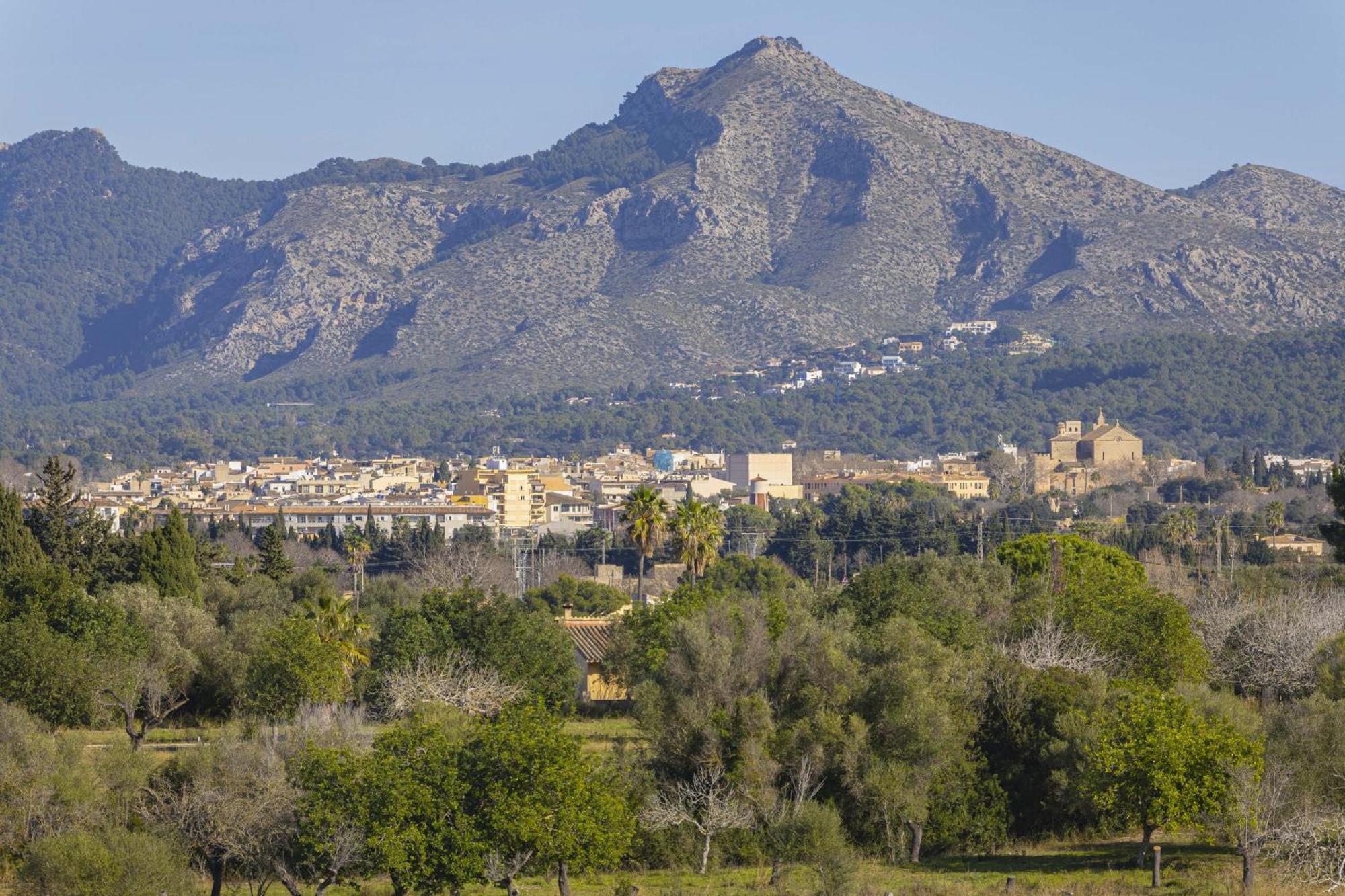 Villa Comas De Dalt Alcúdia